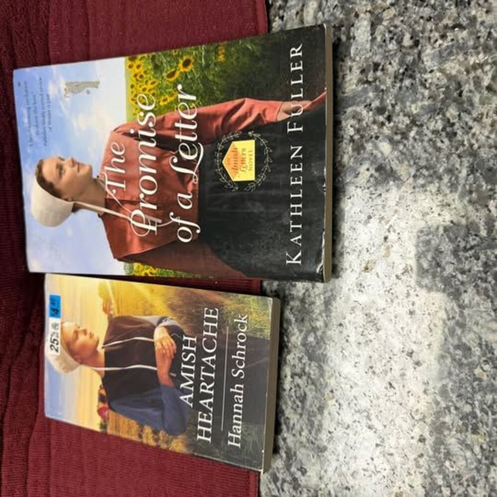 The Promise of a Letter by Kathleen Fuller & Amish Heartache by Hannah Schrock